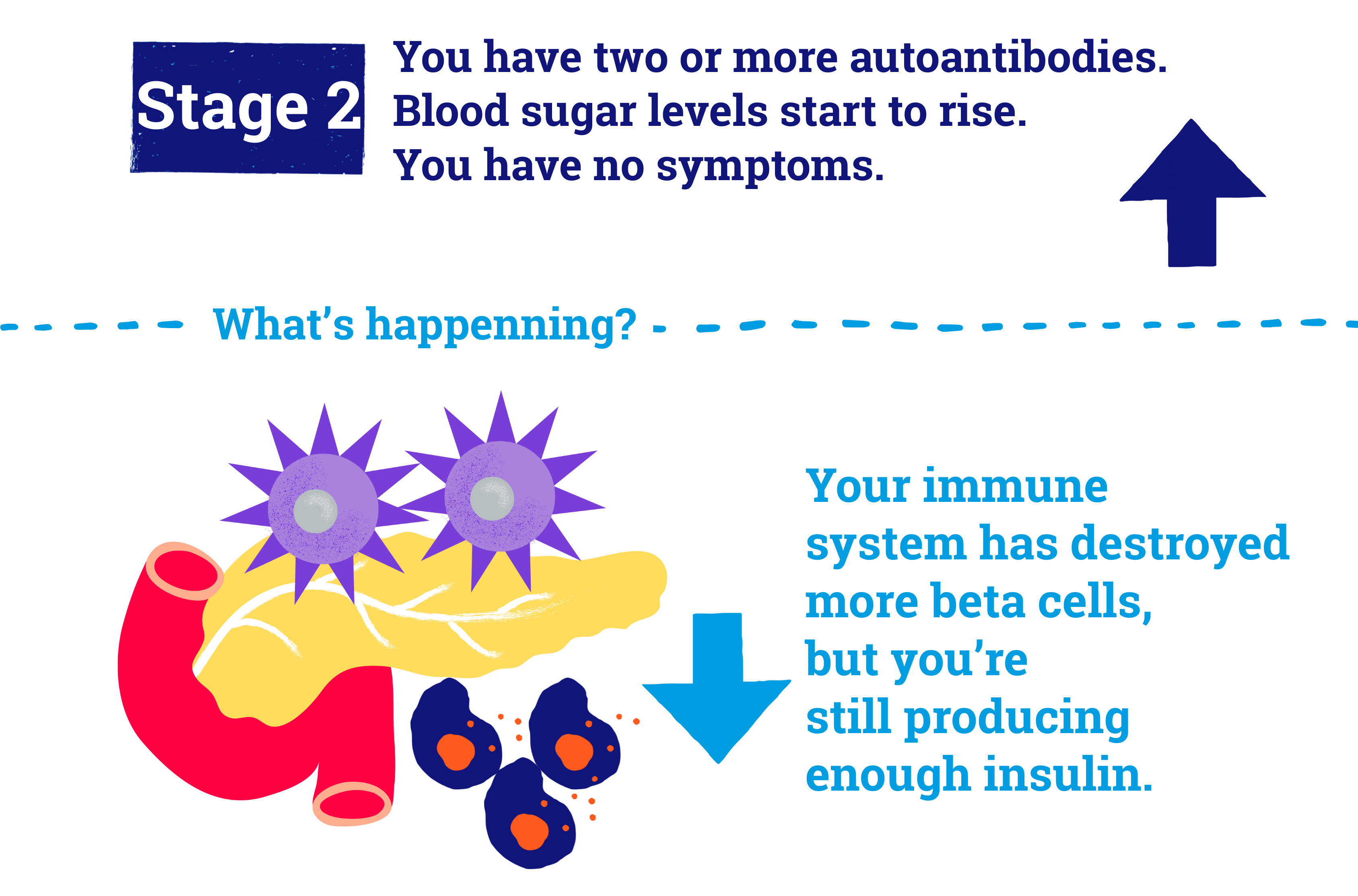 In stage 2, blood sugar levels start to rise. You have no symptoms and don't need insulin..