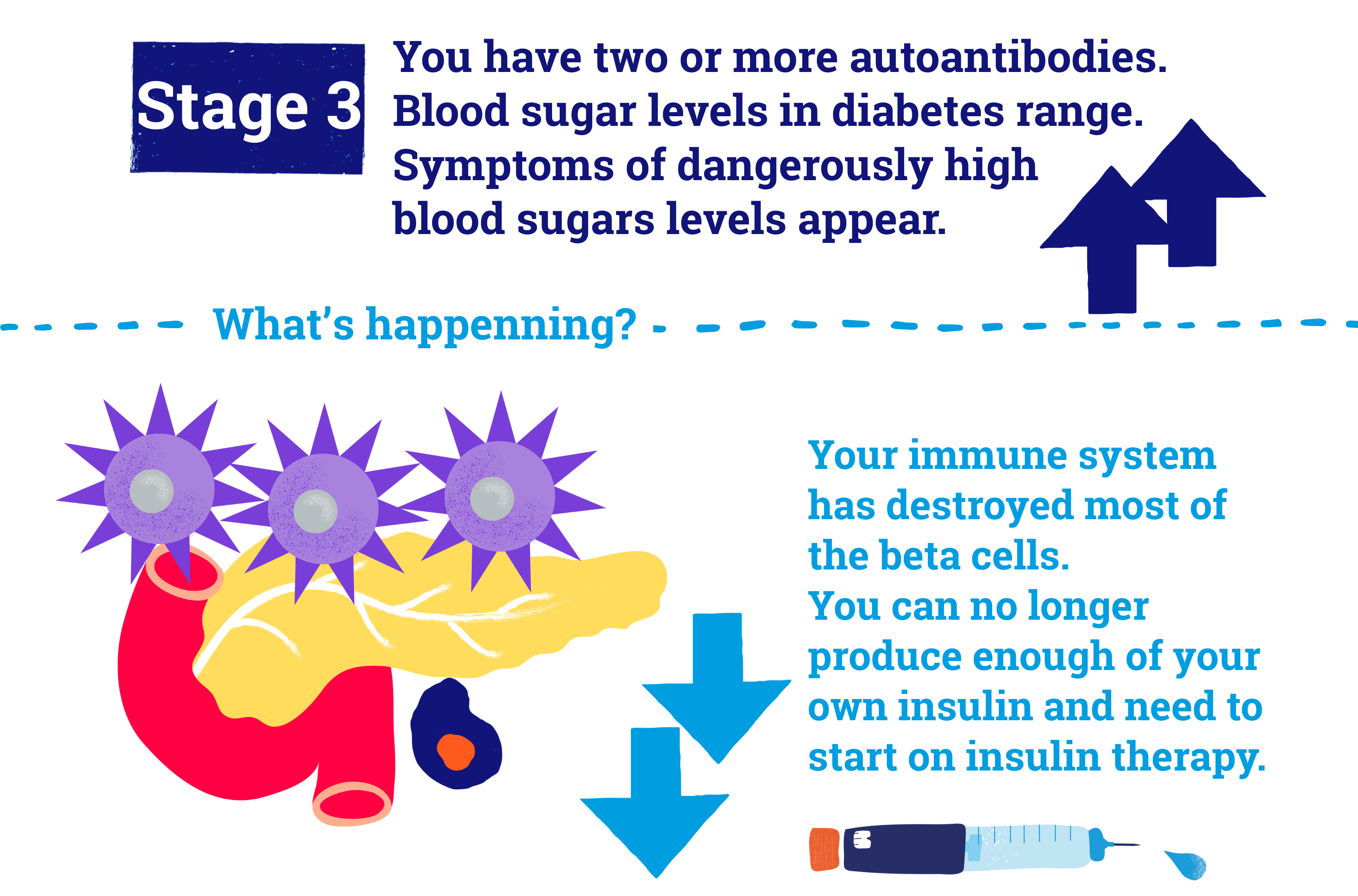 In stage 3, blood sugar levels are dangerously high and the symptoms of type 1 diabetes appear. You need to start insulin therapy.