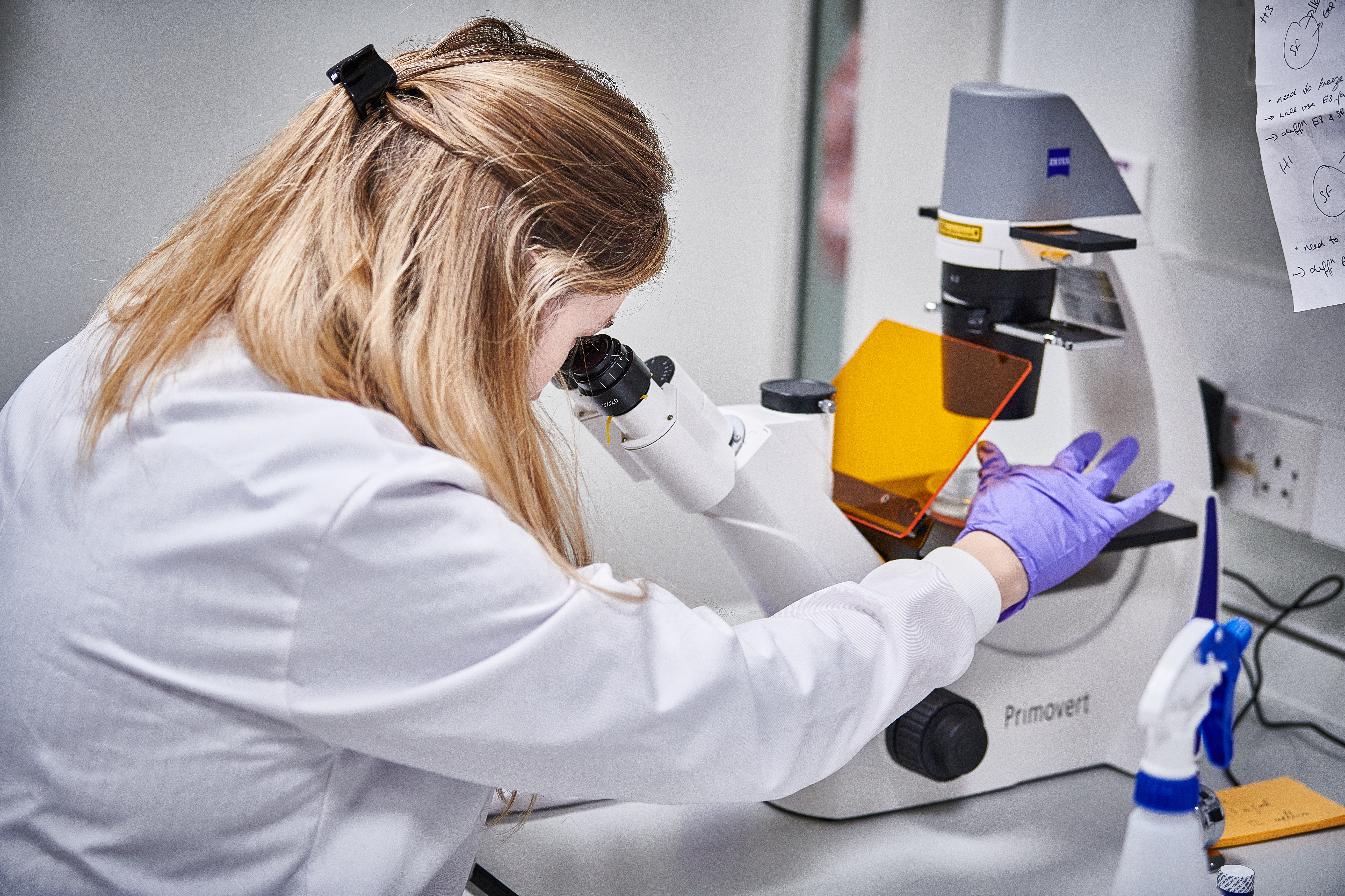 Photo of researcher peering down microscope.