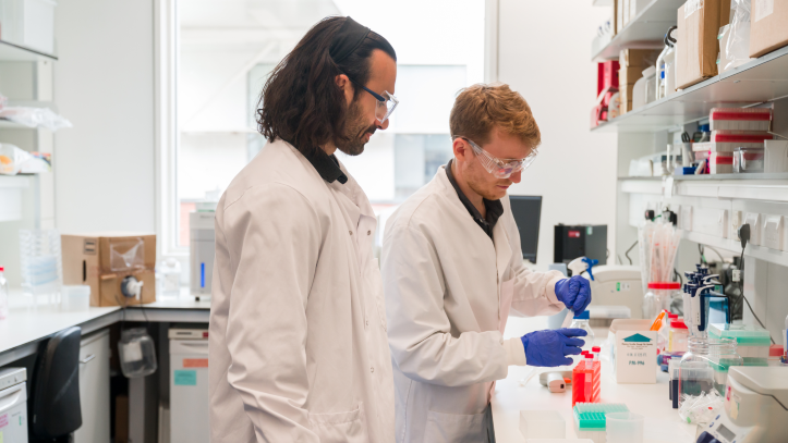 Two Type 1 Diabetes Grand Challenge Researchers working together in a lab.