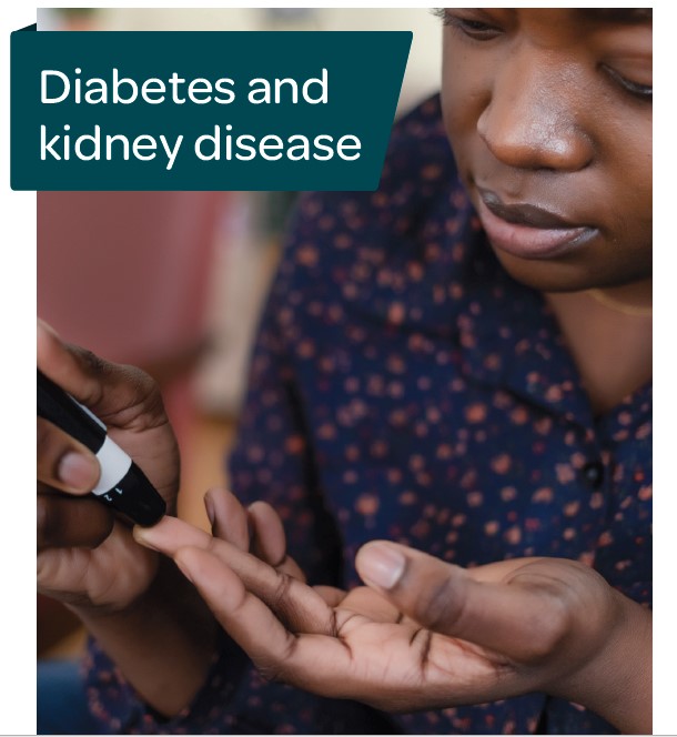 Diabetes and kidney disease