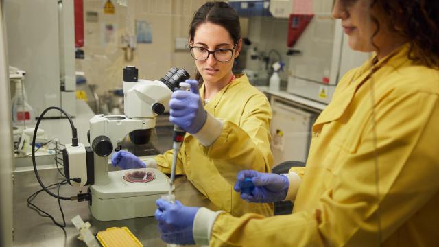 Scientists working in the lab.