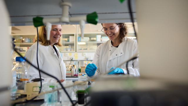 Grand Challenge researchers working in a lab