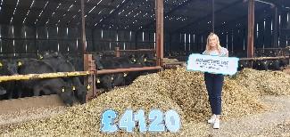Gemma with large numbers on the ground of the amount she raised: £4120 and Gemma is standing in front of a cow shed with hay and cows behind her as she holds a placard with Diabetes UK NI logo on it.