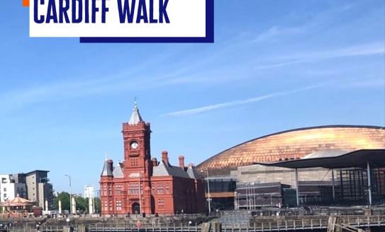 Diabetes UK Cardiff Walk
