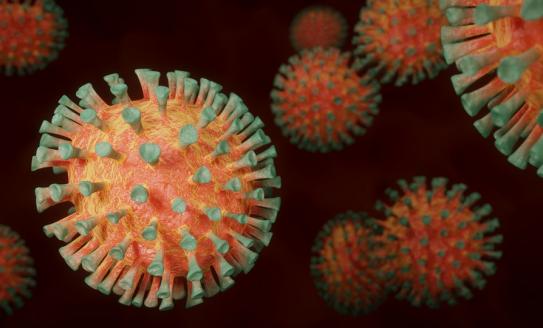 Coronavirus (COVID-19) molecules