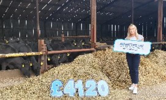 Gemma with large numbers on the ground of the amount she raised: £4120 and Gemma is standing in front of a cow shed with hay and cows behind her as she holds a placard with Diabetes UK NI logo on it.