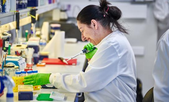 A female scientist wearing a white lab coat and green gloves working in a diabetes lab