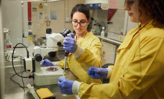 Our research impact scientists