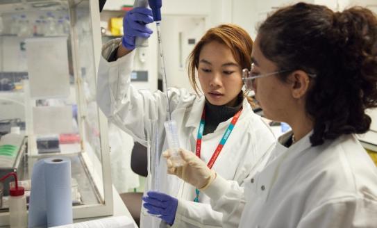 Two researchers in lab coats testing a liquid in a test tube.