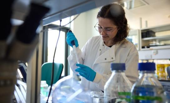 A photo of a research in the lab with blue gloves on pipetting