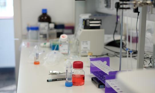 Lab research