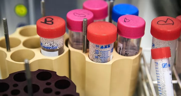 Diabetes UK research suggests Type 1 diabetes could begin in the womb