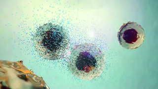 pancreatic cells image